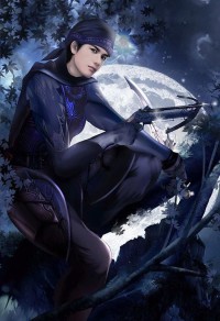 《灵韵大陆之昼善夜恶》