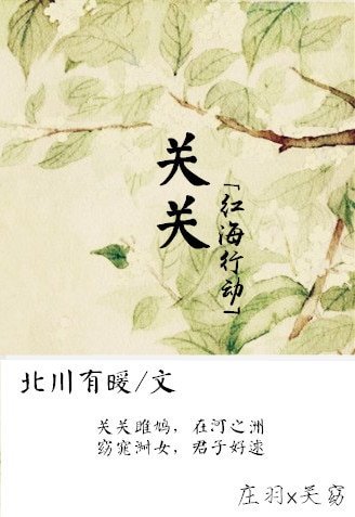 （红海行动同人）[红海行动]关关