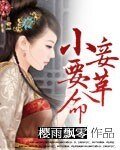 《小妾要革命》