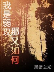 《我是弱攻那又如何》
