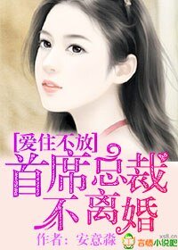 《愛住不放,首席總裁不離婚》