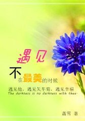 《遇見,不在最美的時候》