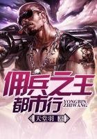 《傭兵之王都市行》