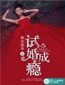 《試婚成癮》