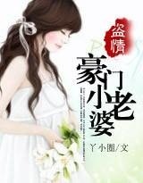 《盜情:豪門小老婆》