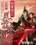 《杨家将之风流八少/风流杨家将》