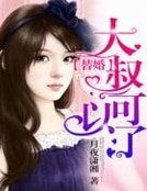 《替婚,大叔可以了》