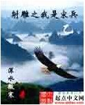 （射雕同人）射雕之我是宋兵乙