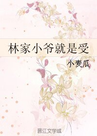 《林家小爺就是受》
