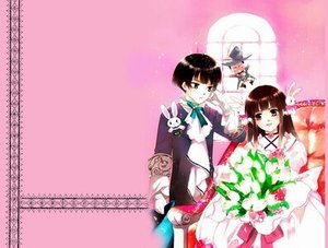 《枫落长桥(出书版)》
