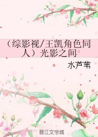 《(綜影視/王凱角色同人)光影之間》