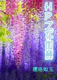 （HP同人）hp之不如意（養成遊戲）