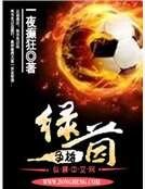綠茵爭雄