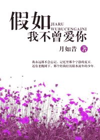 《菲你不可/假如我不曾愛你(網絡版)》