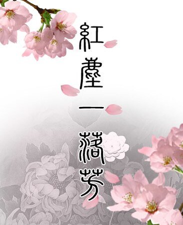 《紅塵一落芳》