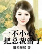 一不小心把总裁潜了