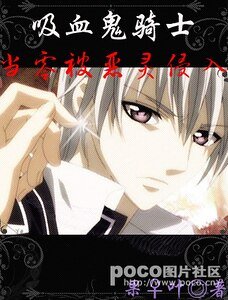 《(吸血鬼骑士)当零被恶灵侵入》