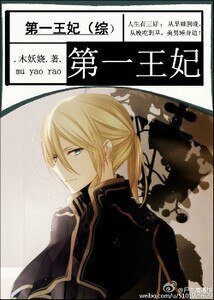 《(綜漫同人)第一王妃》