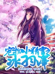 （寵物小精靈同人）寵物小精靈之冰羽澤