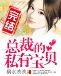 《總裁的私有寶貝/總裁來襲》