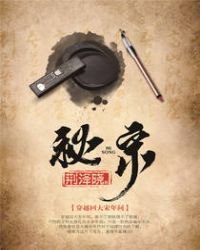 《秘宋》