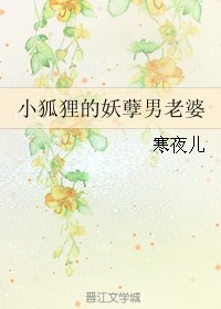《小狐狸的妖孽男老婆》
