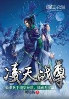 《凌天战尊》