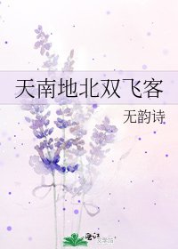 《天南地北雙飛客》