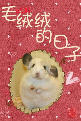 [網遊]毛絨絨的日子