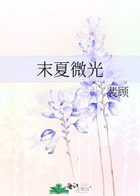 《末夏微光》