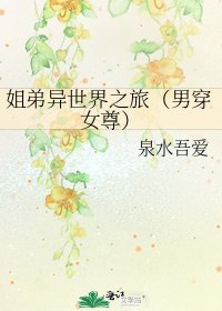 姐弟異世界之旅(男穿女尊)