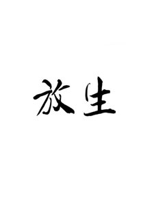 《放生》