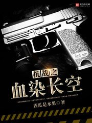 《抗戰之血染長空》