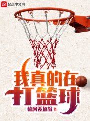 《我真的在打籃球》