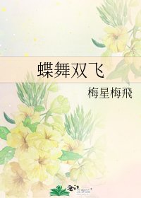 《蝶舞双飞》