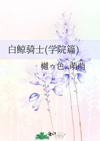 《白鲸骑士(学院篇)》