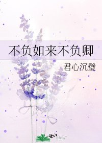不負如來不負卿