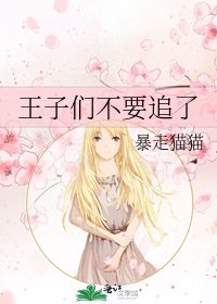王子们不要追了