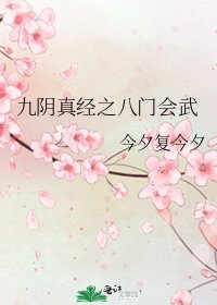 《九阴真经之八门会武》