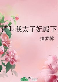 《请叫我太子妃殿下》