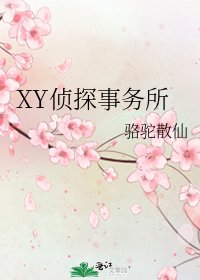 《XY侦探事务所》