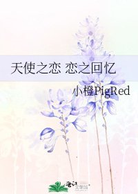 天使之戀 戀之回憶