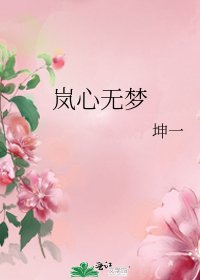 《岚心无梦》