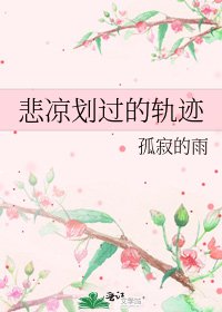《悲涼劃過的軌跡》