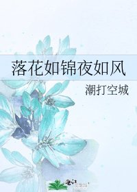 《落花如錦夜如風》