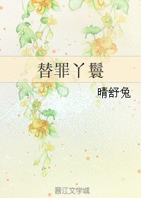 《替罪丫鬟》
