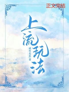 《上流顽法》
