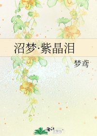 《沼梦·紫晶泪》