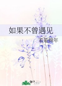 《如果不曾遇见》