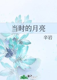 《当时的月亮》